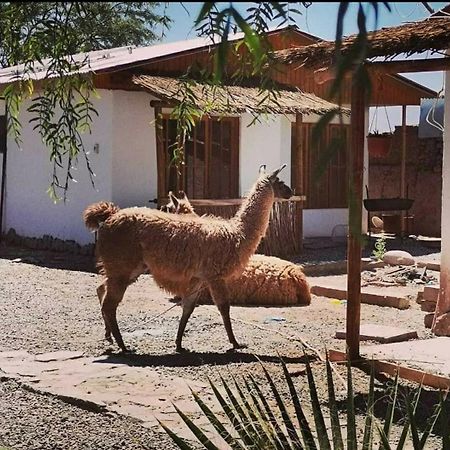 Cabanas Voyage Atacama 산 페드로 데 아타카마 외부 사진