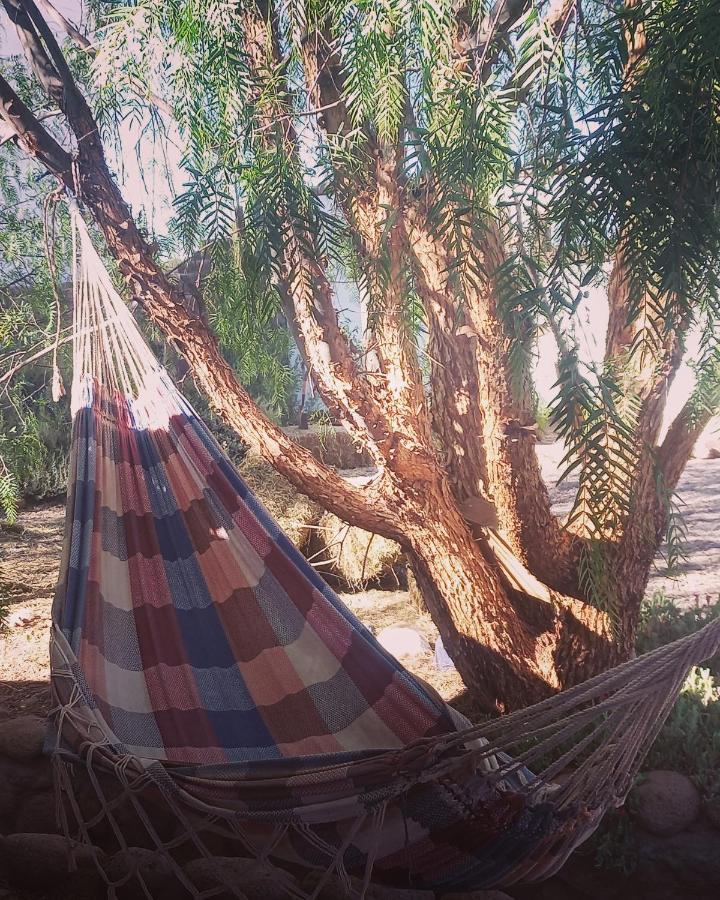 Cabanas Voyage Atacama 산 페드로 데 아타카마 외부 사진