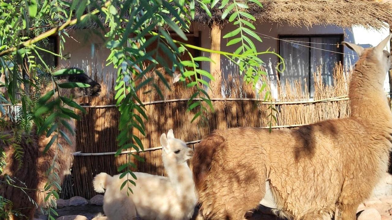 Cabanas Voyage Atacama 산 페드로 데 아타카마 외부 사진