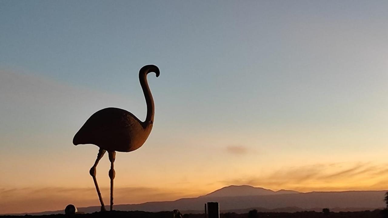 Cabanas Voyage Atacama 산 페드로 데 아타카마 외부 사진