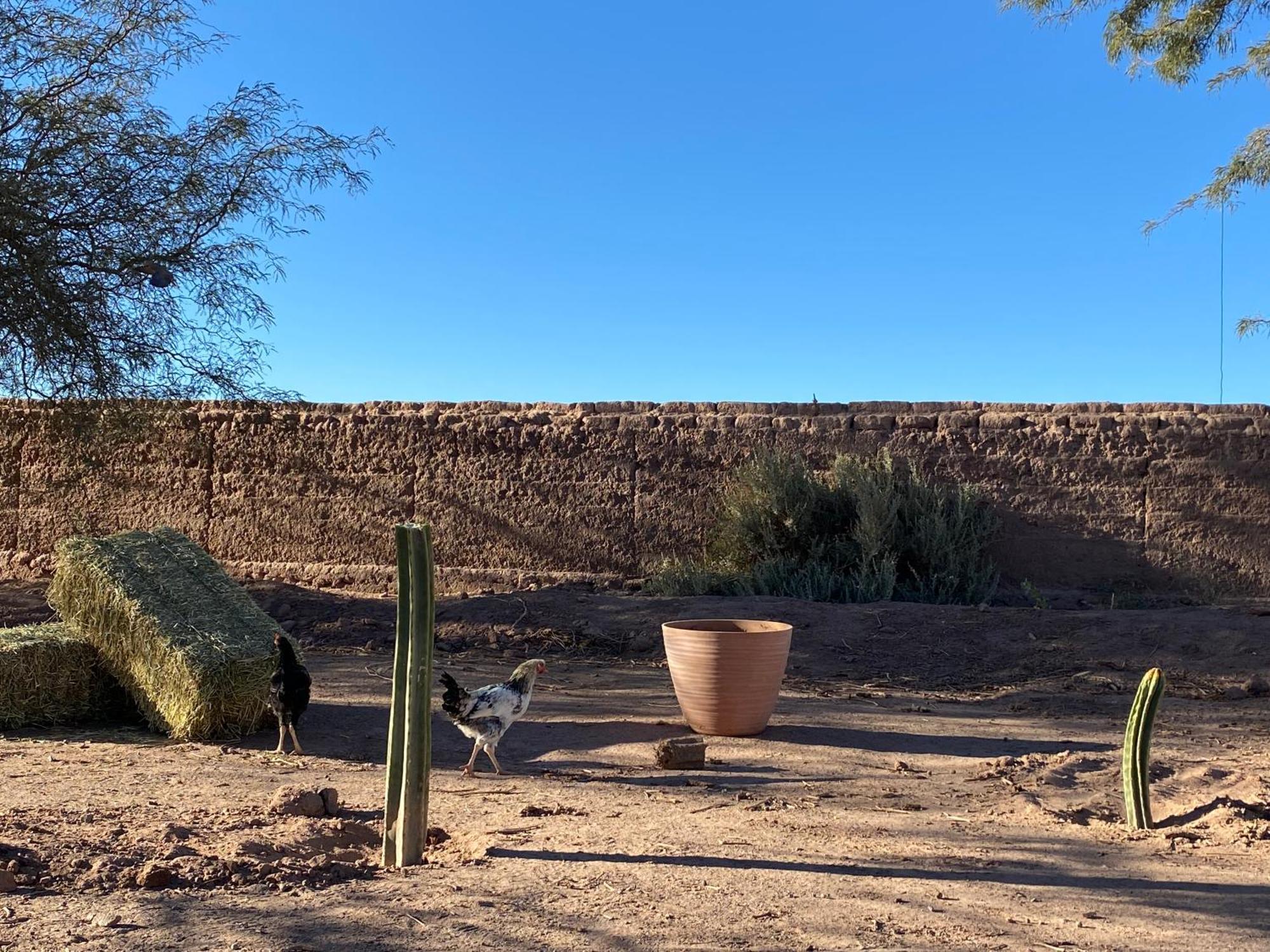 Cabanas Voyage Atacama 산 페드로 데 아타카마 외부 사진