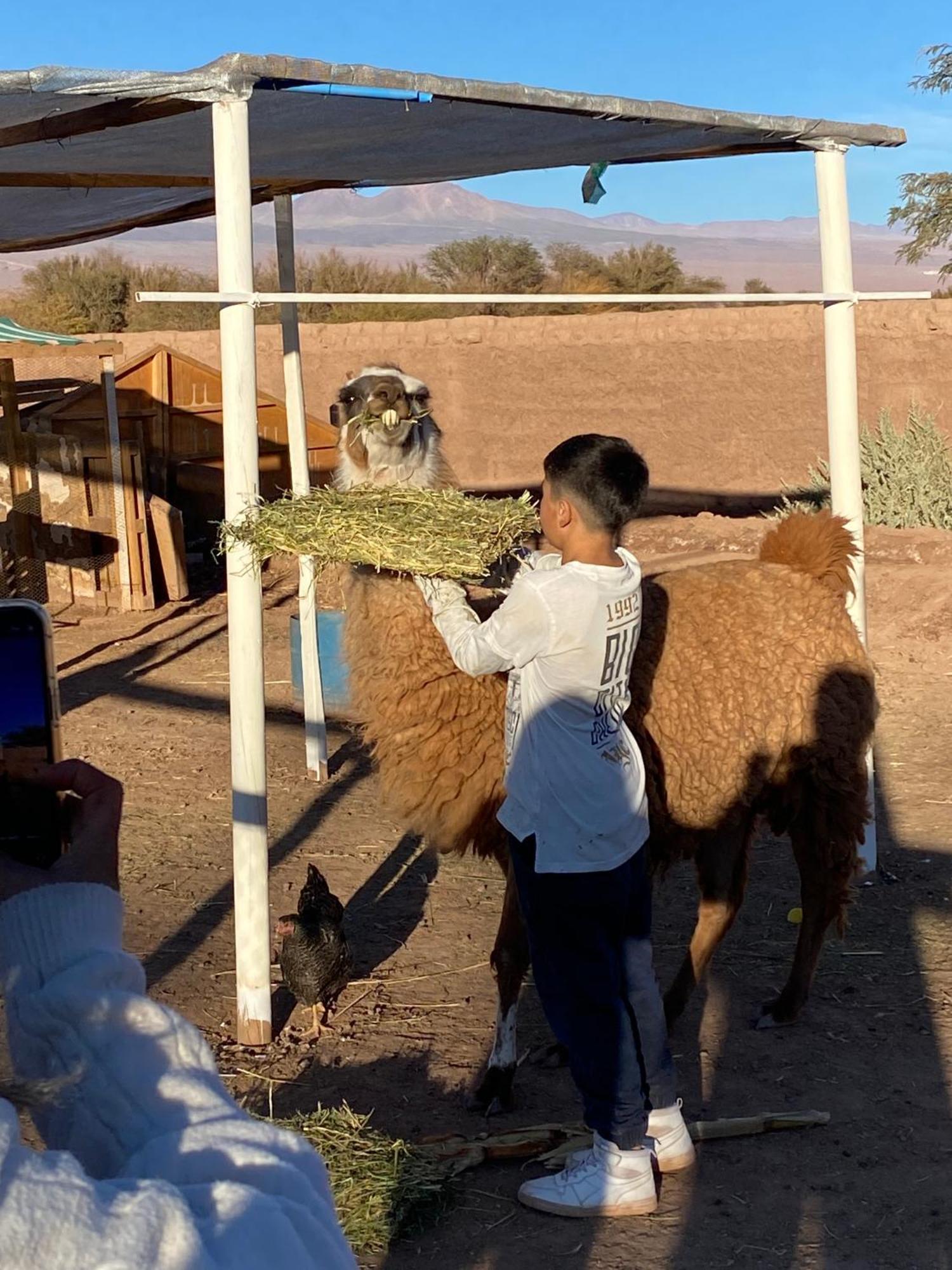 Cabanas Voyage Atacama 산 페드로 데 아타카마 외부 사진